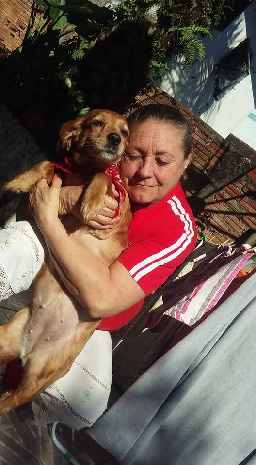 LADY (Canino fêmea) Srd Mp C2